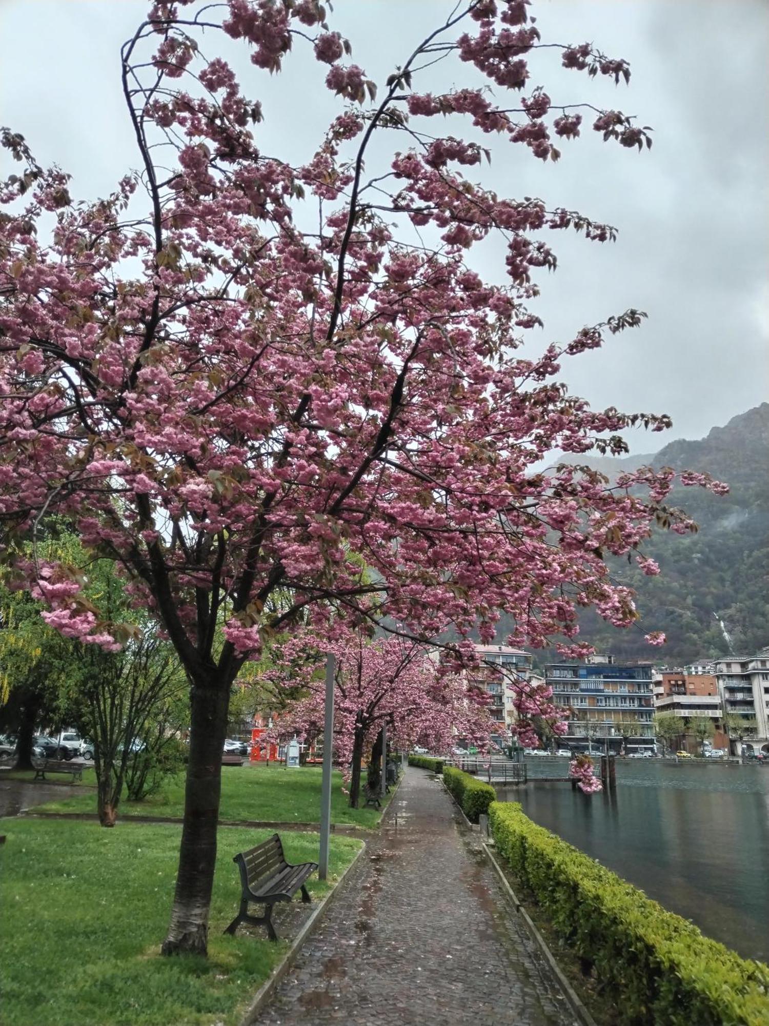 Un Balcone Sul Lago Omegna Exterior photo
